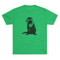 You Otter Believe It